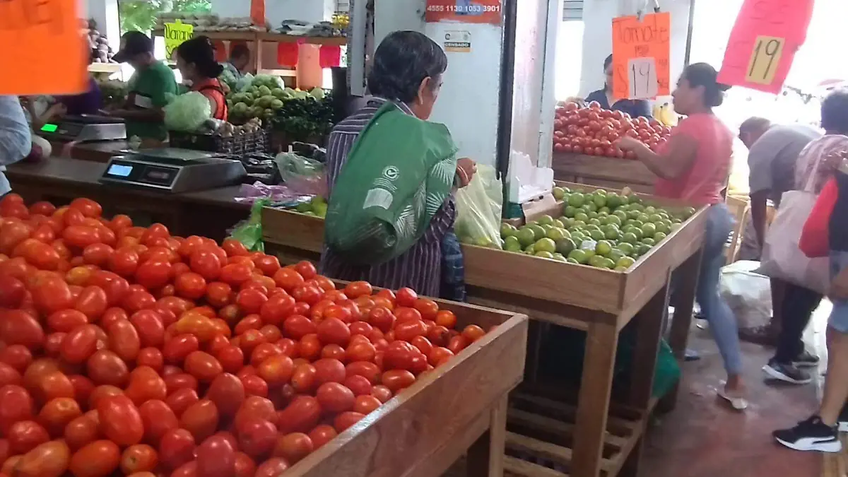 abasto productos